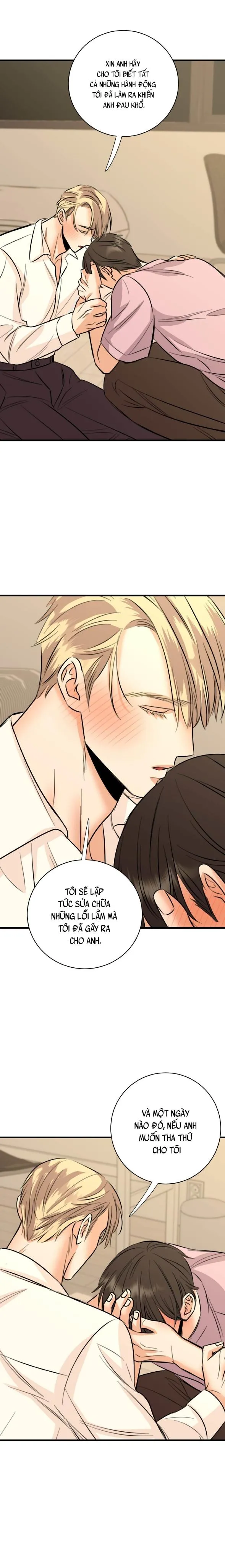 ANH SẼ PHẢI HỐI HẬN THÔI Chapter 25 Trang 8