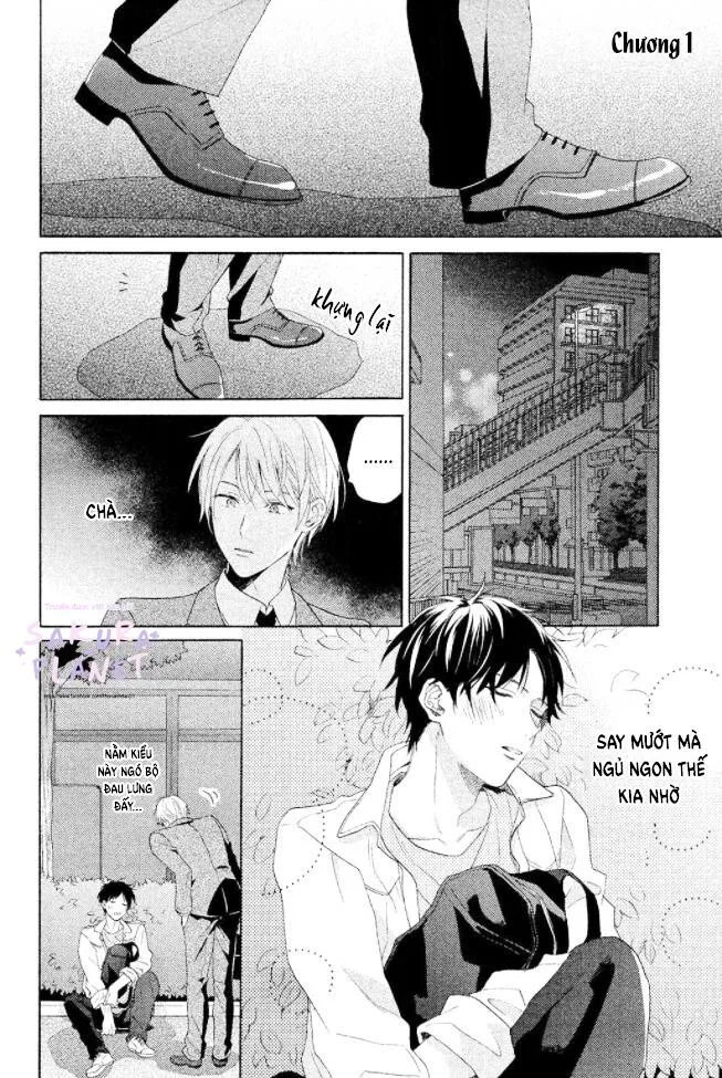 Anh thật vô kỉ luật đấy Chapter 1 Trang 7