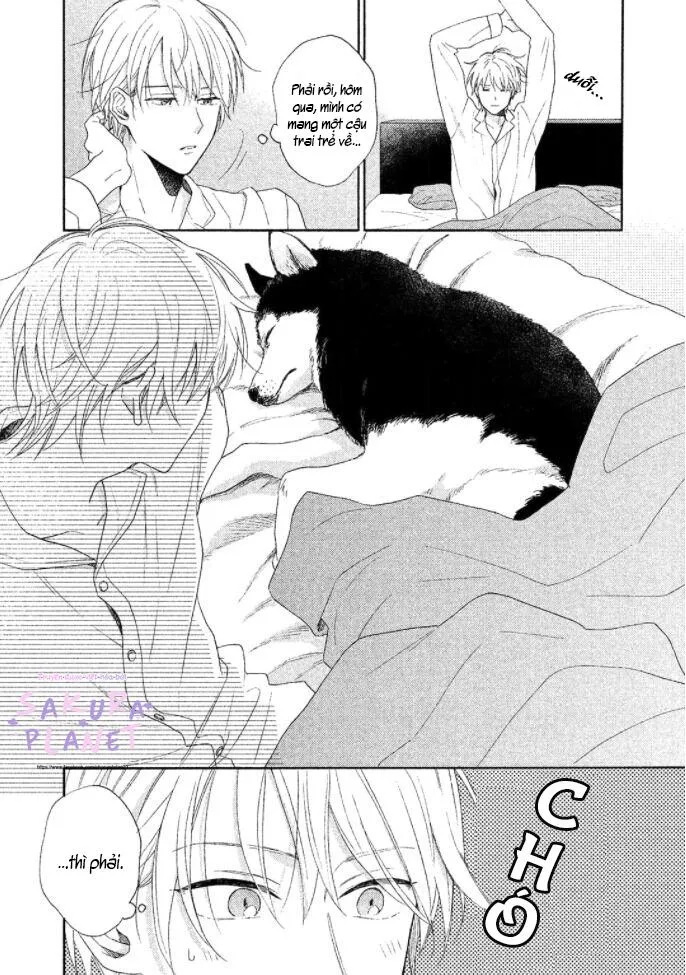 Anh thật vô kỉ luật đấy Chapter 1 Trang 13