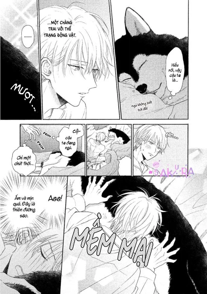 Anh thật vô kỉ luật đấy Chapter 1 Trang 14