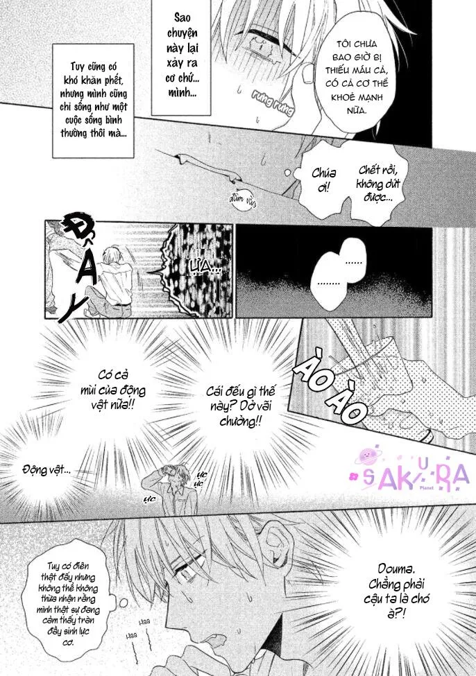 Anh thật vô kỉ luật đấy Chapter 1 Trang 30