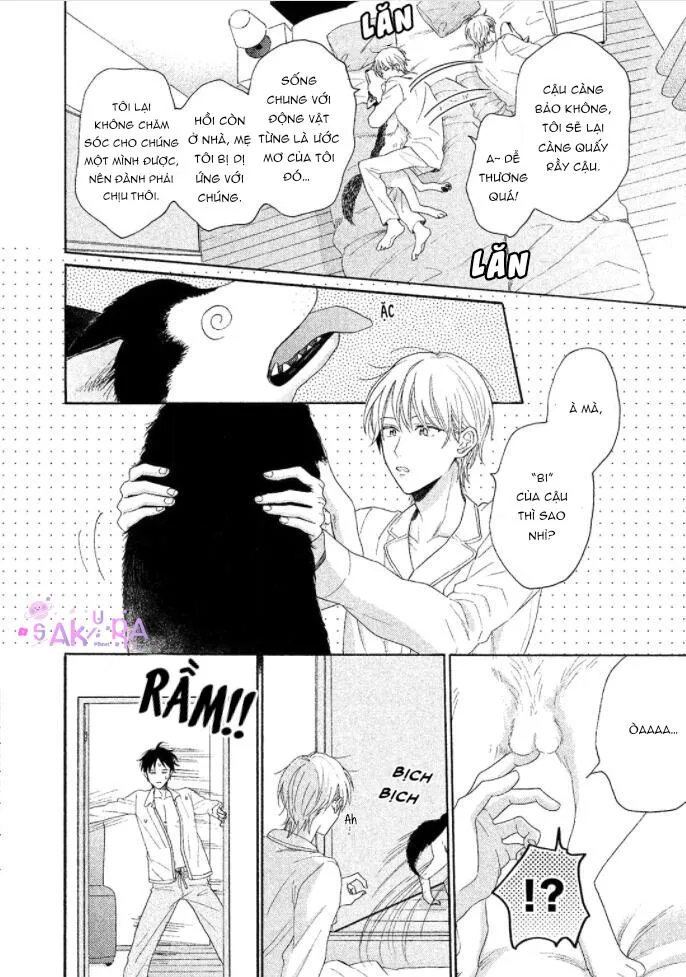 Anh thật vô kỉ luật đấy Chapter 2 Trang 19