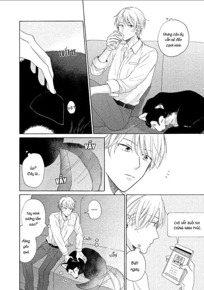 Anh thật vô kỉ luật đấy Chapter 3 Trang 17