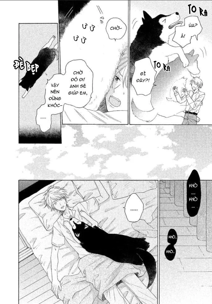 Anh thật vô kỉ luật đấy Chapter 6 Trang 5