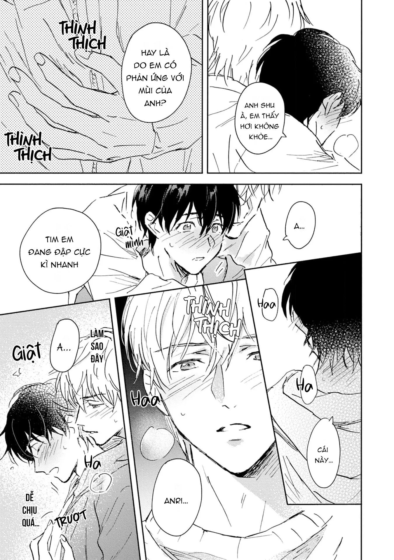 Anh trai muốn kết hôn với một Omega như tôi Chapter 2 Trang 7