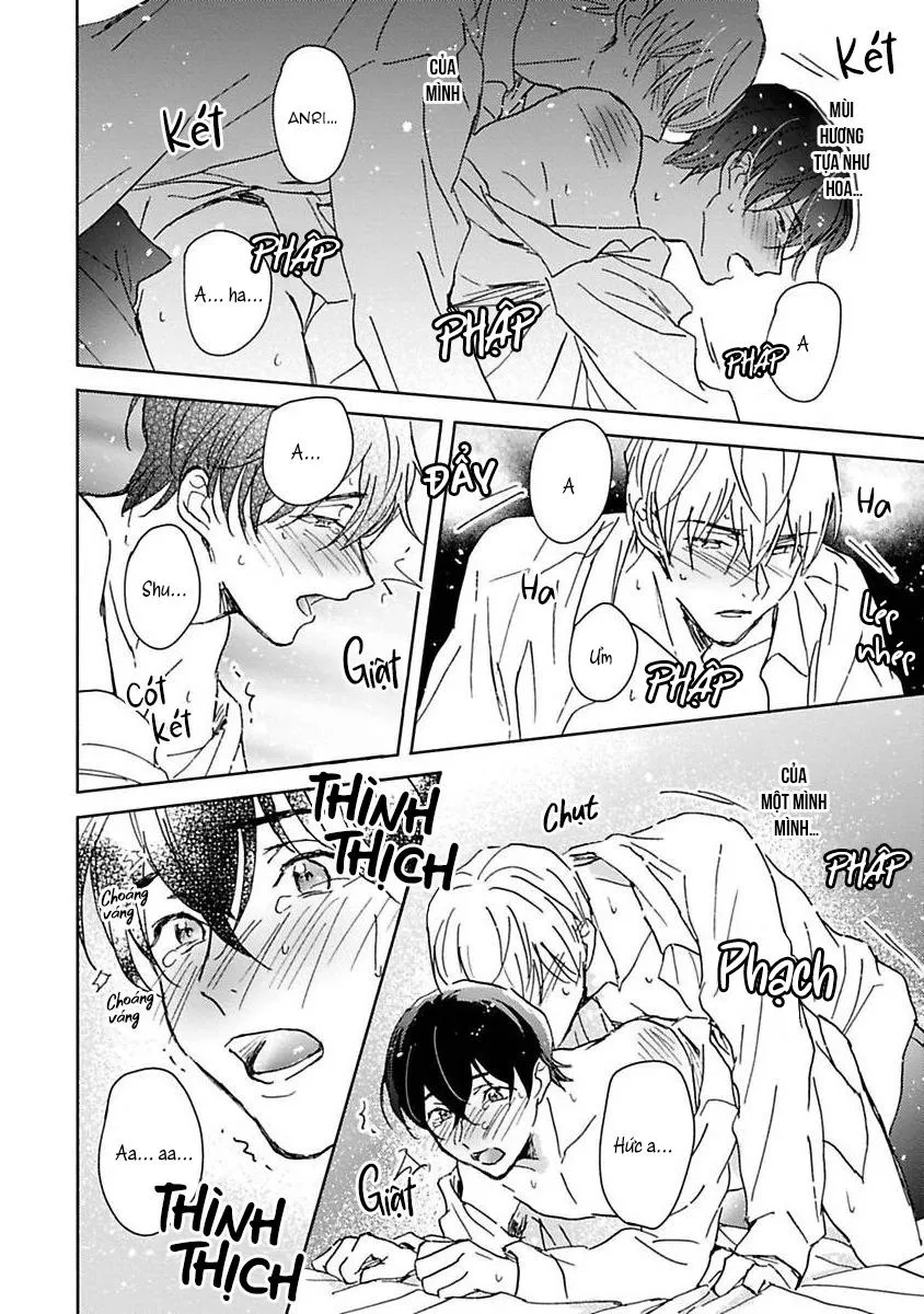Anh trai muốn kết hôn với một Omega như tôi Chapter 5 Trang 10