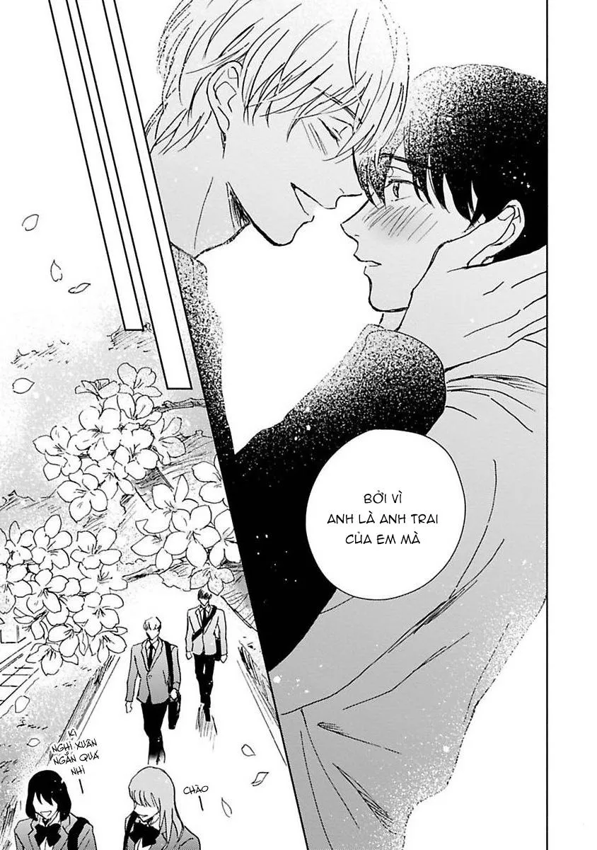 Anh trai muốn kết hôn với một Omega như tôi Chapter 5 Trang 19