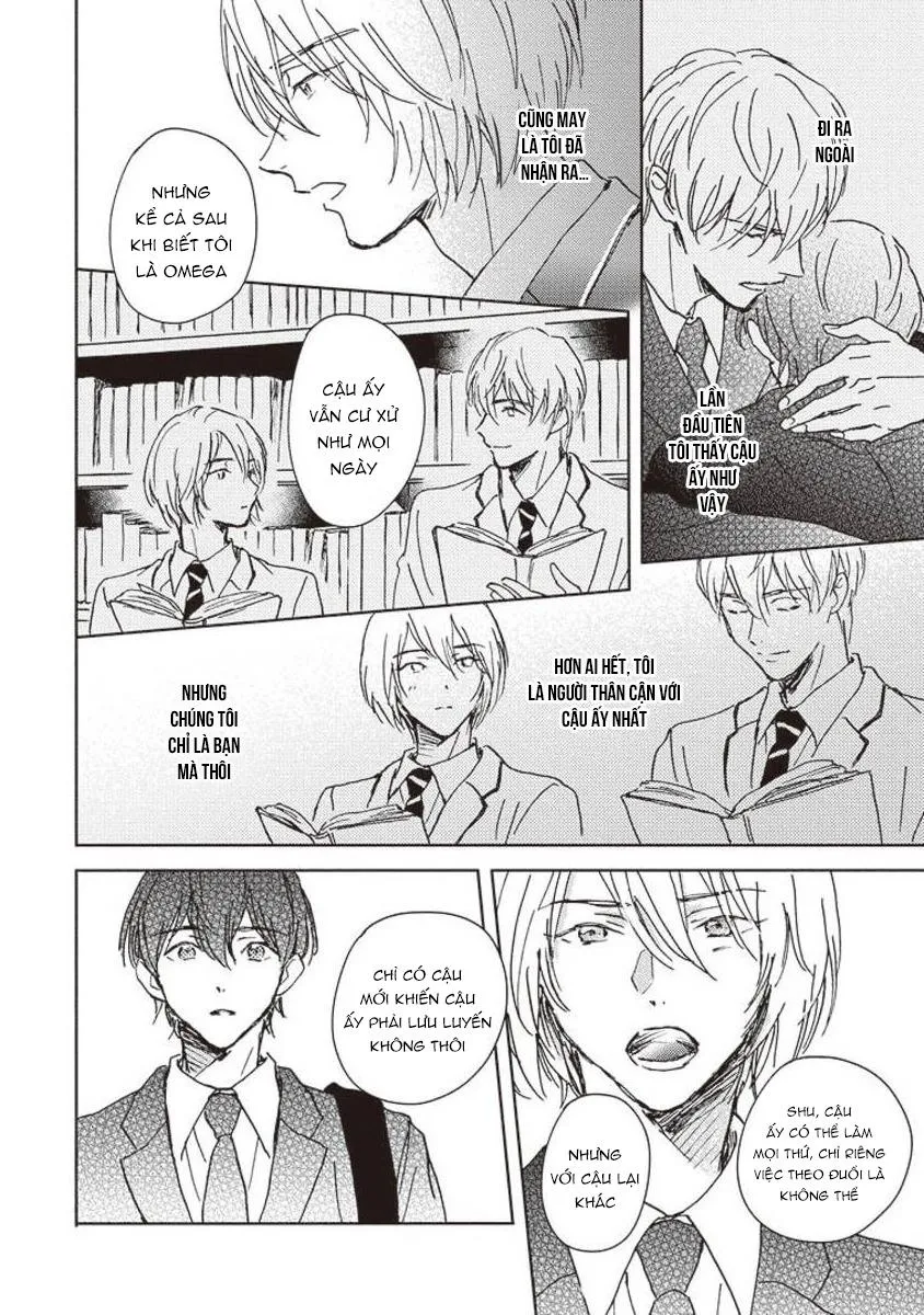 Anh trai muốn kết hôn với một Omega như tôi Chapter 5 Trang 24