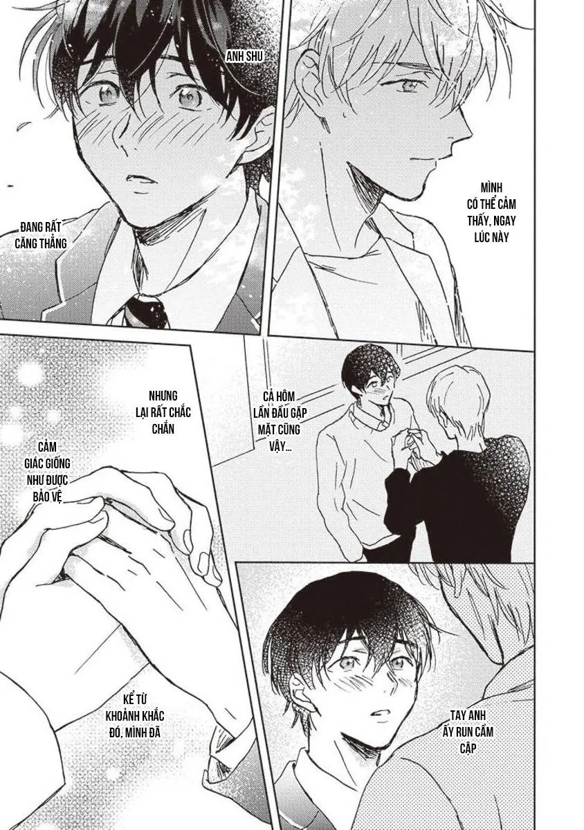 Anh trai muốn kết hôn với một Omega như tôi Chapter 5 Trang 31
