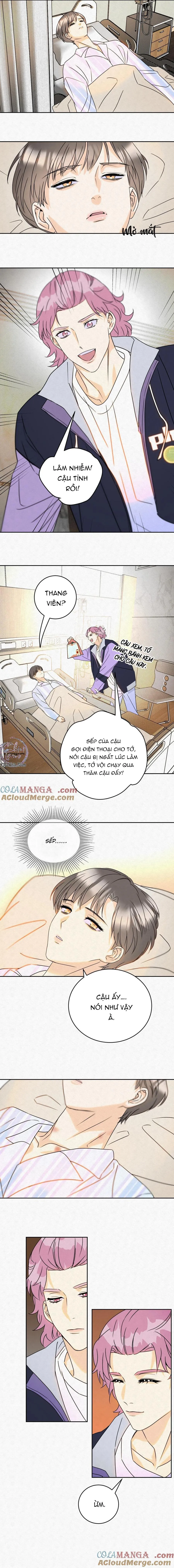 Anh Trai Rẻ Tiền Của Tôi (END) Chapter 18 Trang 7