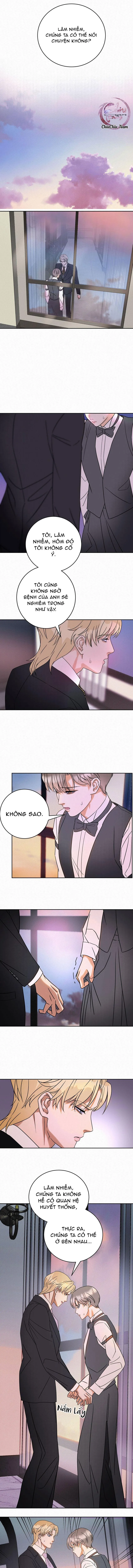 Anh Trai Rẻ Tiền Của Tôi (END) Chapter 19 Trang 6