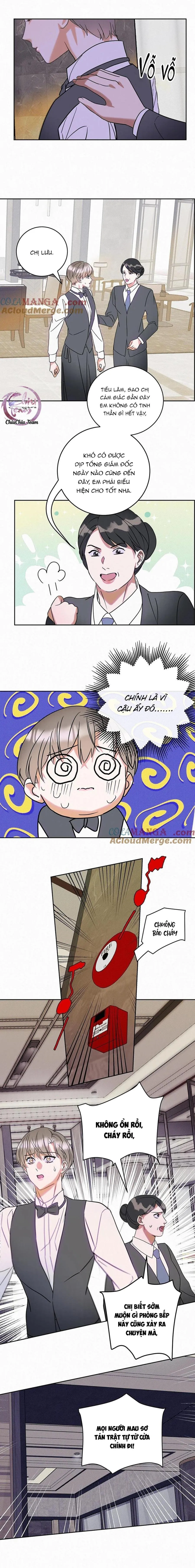 Anh Trai Rẻ Tiền Của Tôi (END) Chapter 20 Trang 4