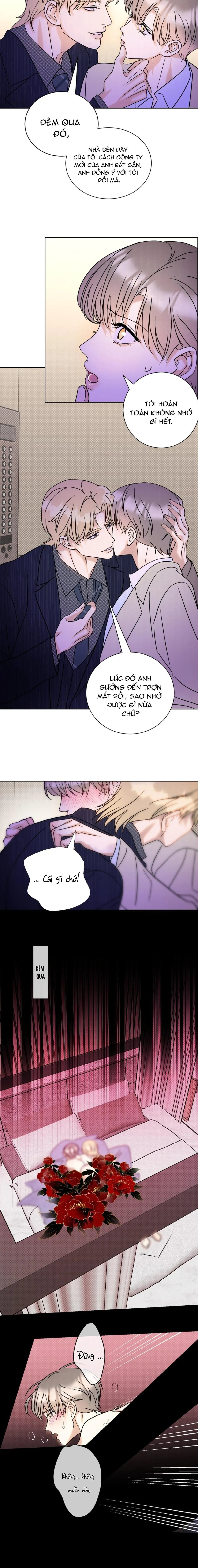 Anh Trai Rẻ Tiền Của Tôi (END) Chapter 25 Trang 8