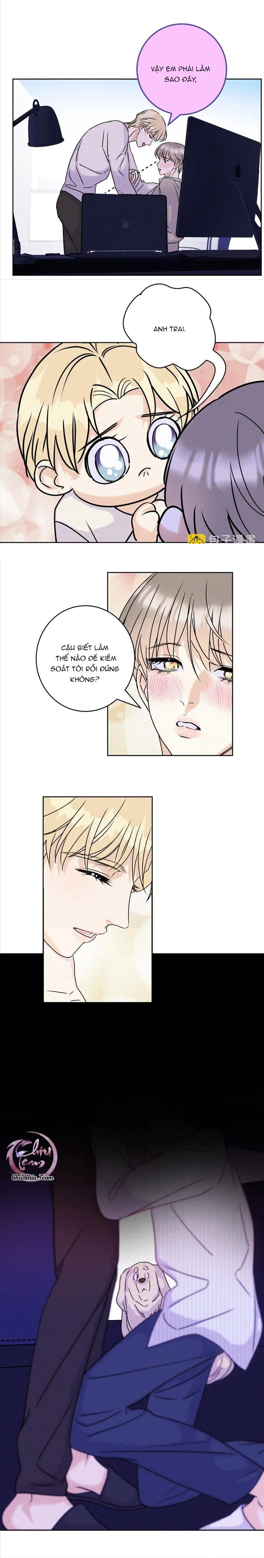 Anh Trai Rẻ Tiền Của Tôi (END) Chapter 26 Trang 7