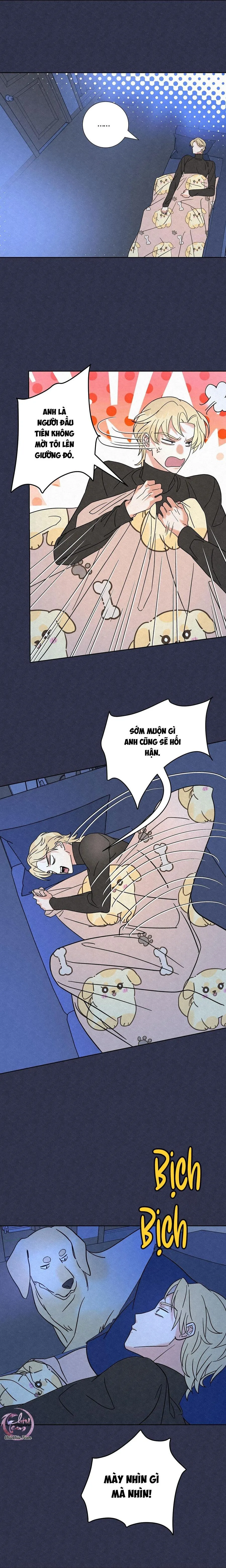 Anh Trai Rẻ Tiền Của Tôi (END) Chapter 5 Trang 3