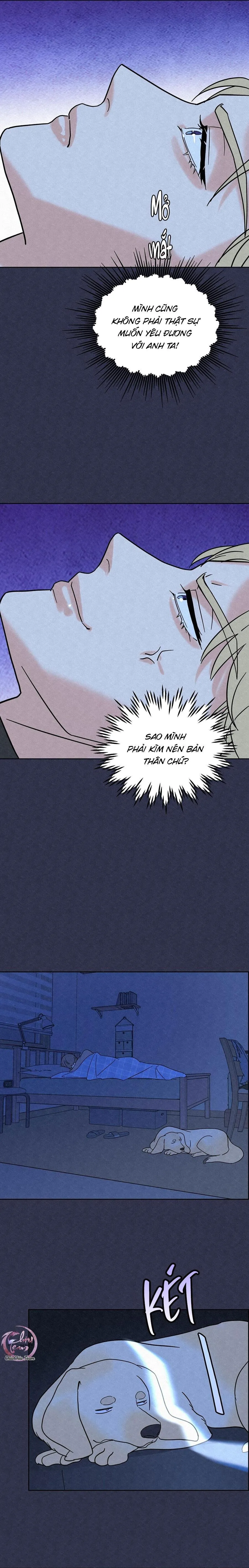 Anh Trai Rẻ Tiền Của Tôi (END) Chapter 5 Trang 5