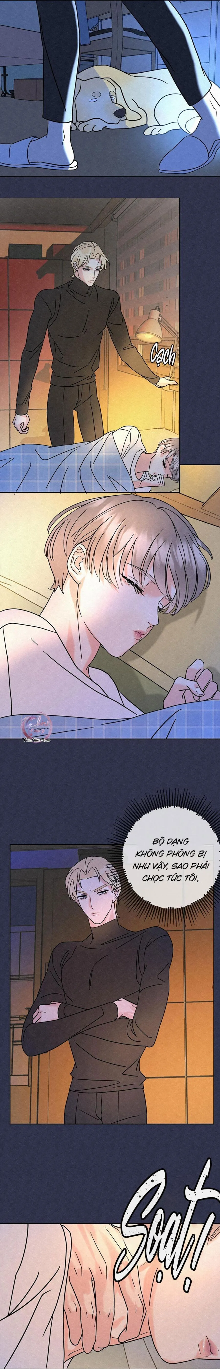 Anh Trai Rẻ Tiền Của Tôi (END) Chapter 5 Trang 6