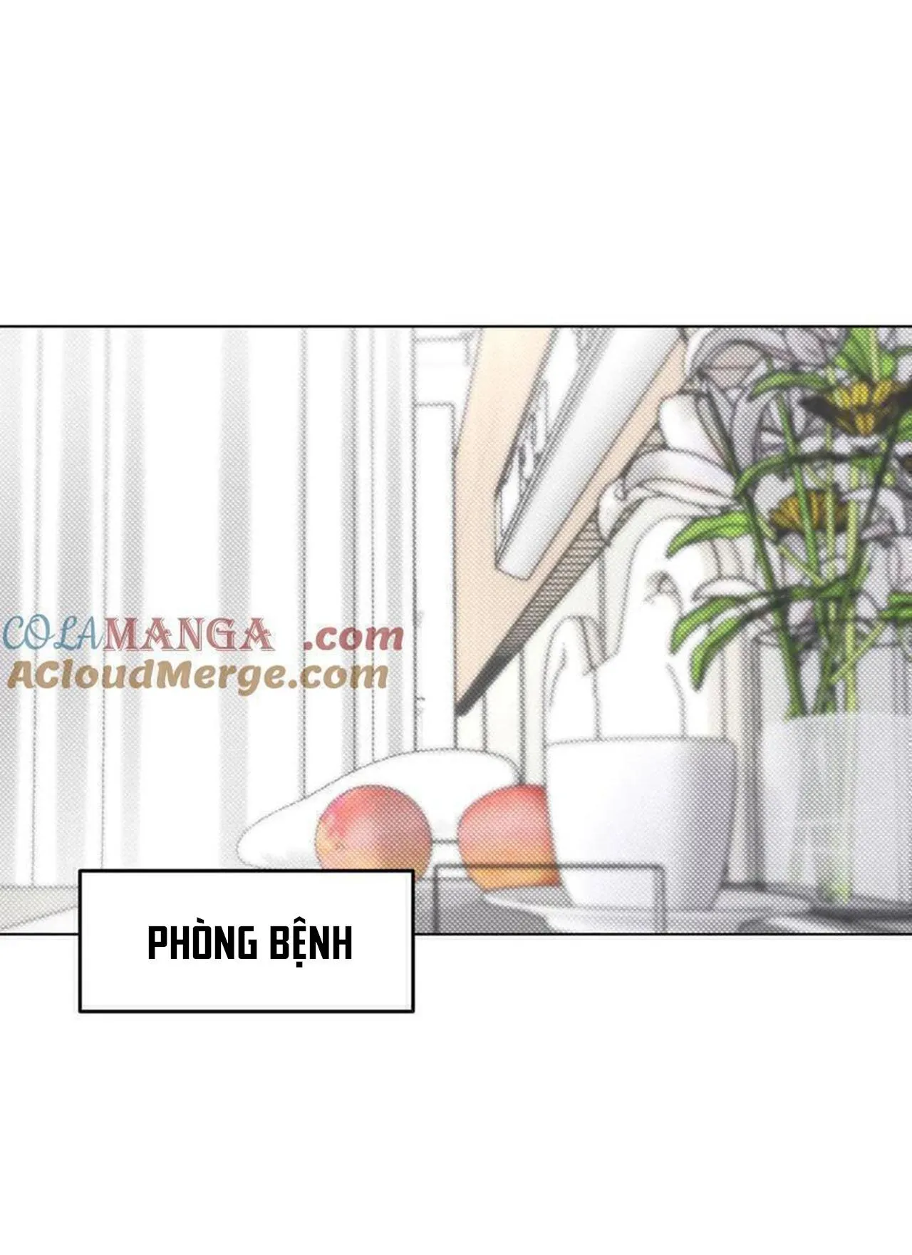 Anh Trai Rẻ Tiền Của Tôi (END) Chapter 63 Trang 3
