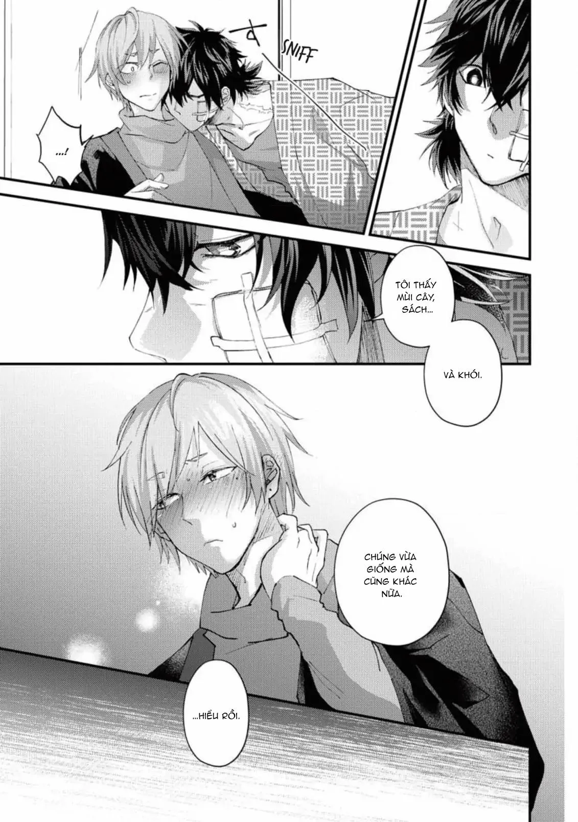 Ánh Trăng Tàn Và Nanh Vuốt Bí Ẩn Chapter 2 Trang 23