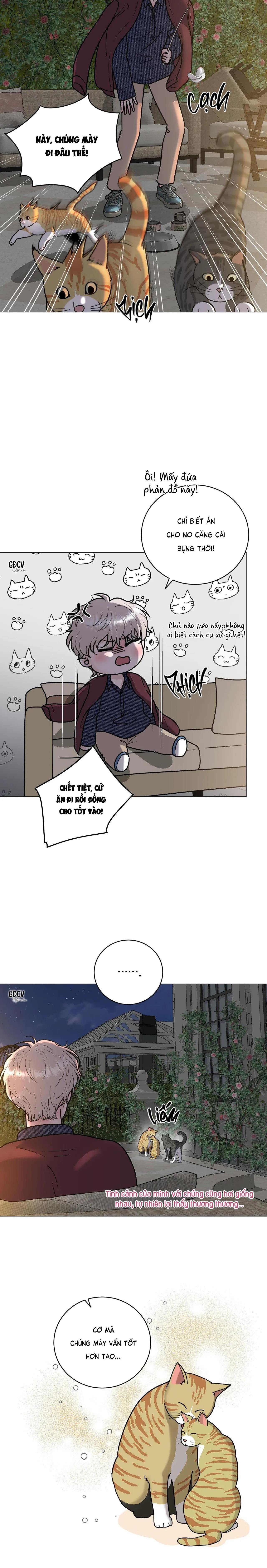 ẢO ẢNH Chapter 8 Trang 15