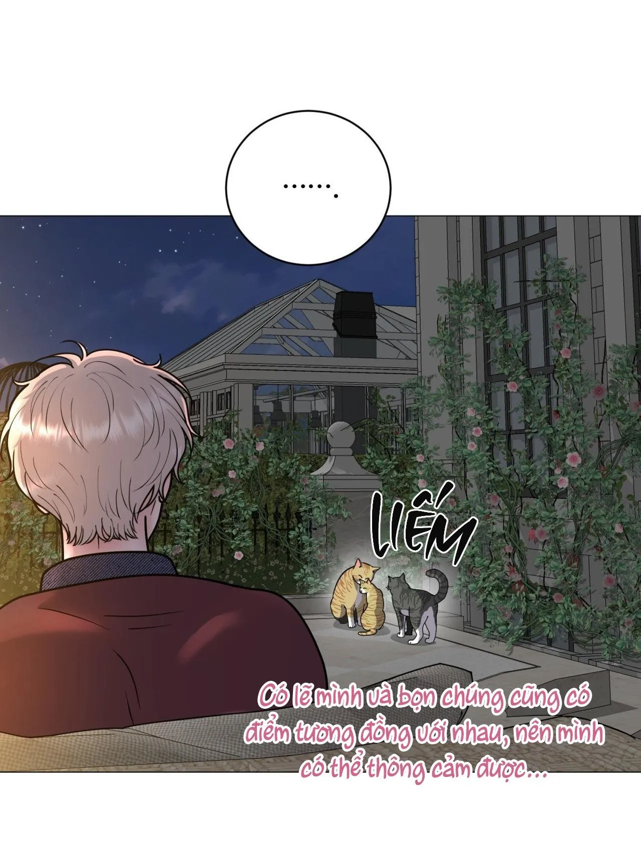 ẢO TƯỞNG Chapter 8 Trang 41