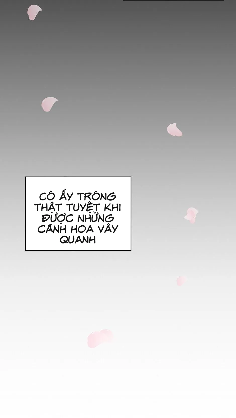 Assorted Wildness Chapter 52 Trang 19