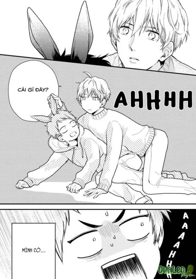 Atai jou to usagi no yamai Chapter 2 Trang 19