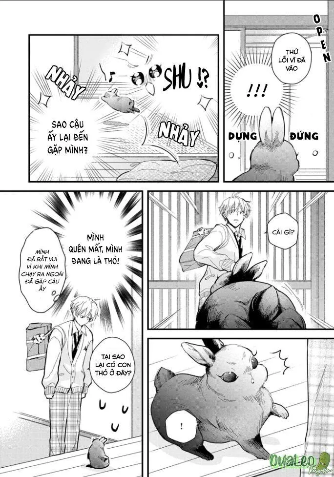 Atai jou to usagi no yamai Chapter 3 Trang 18