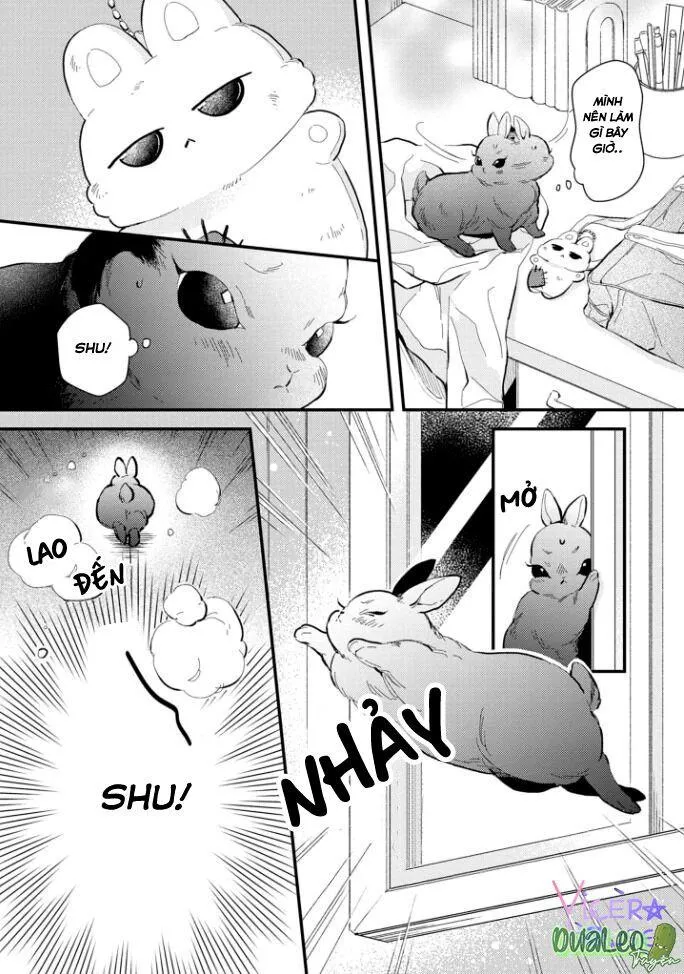 Atai jou to usagi no yamai Chapter 4 Trang 29