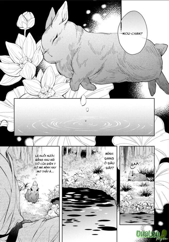 Atai jou to usagi no yamai Chapter 5 Trang 9