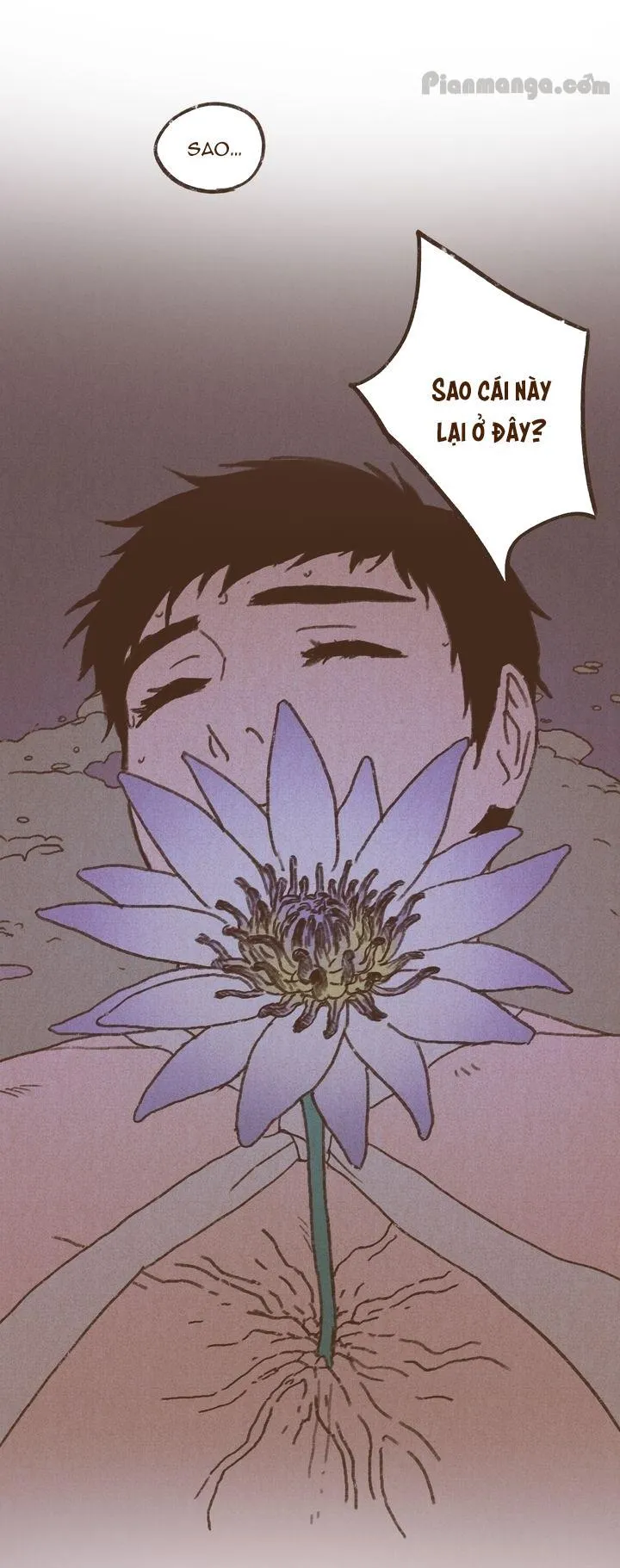 BỘ CHÍN VĨ ĐẠI Chapter 38 Trang 11