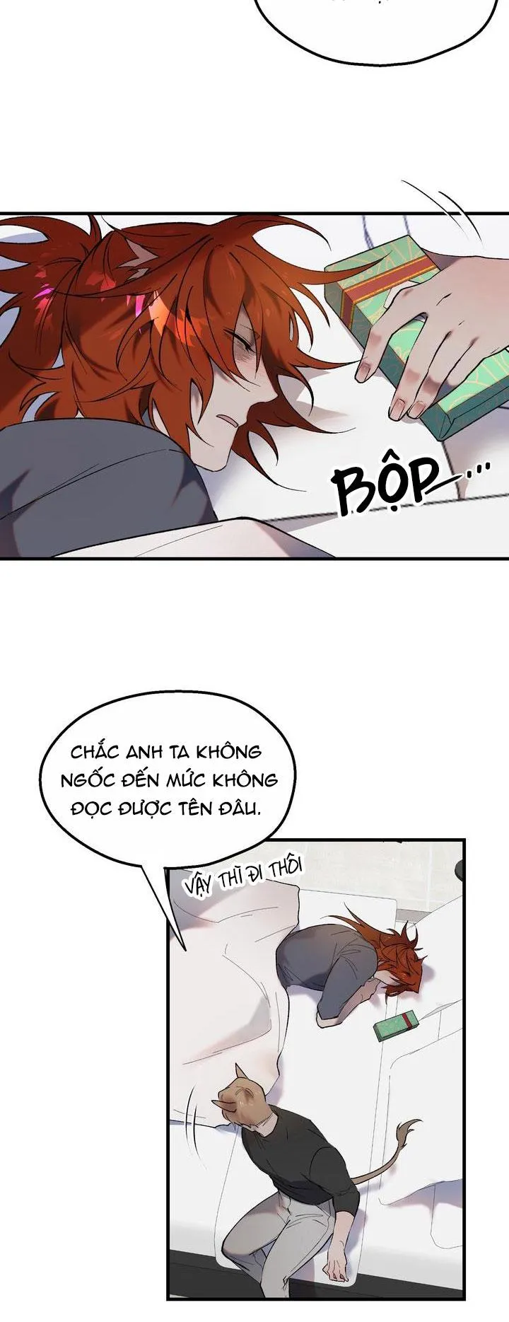 BA ANH EM HEO CON Chapter 11 Trang 29