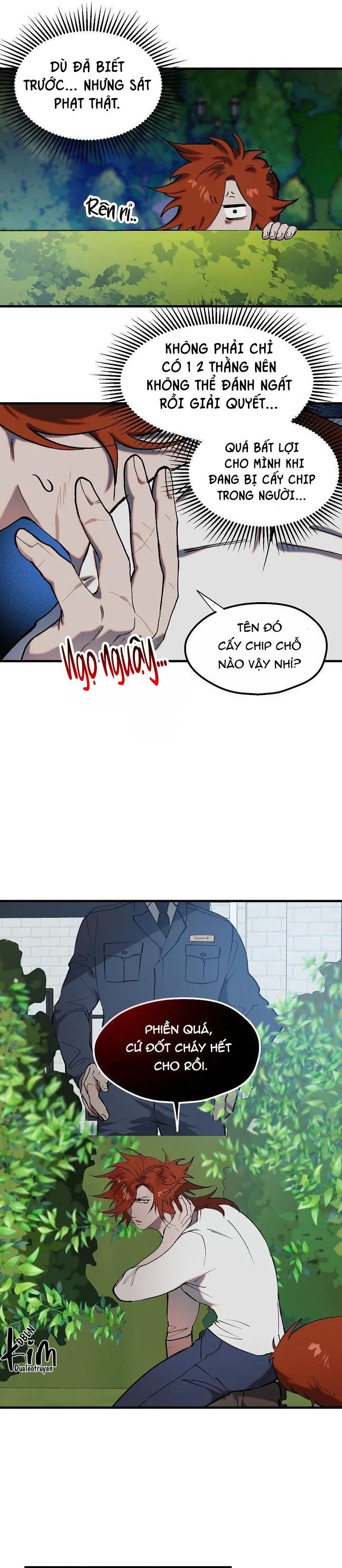 BA ANH EM HEO CON Chapter 8 Trang 10