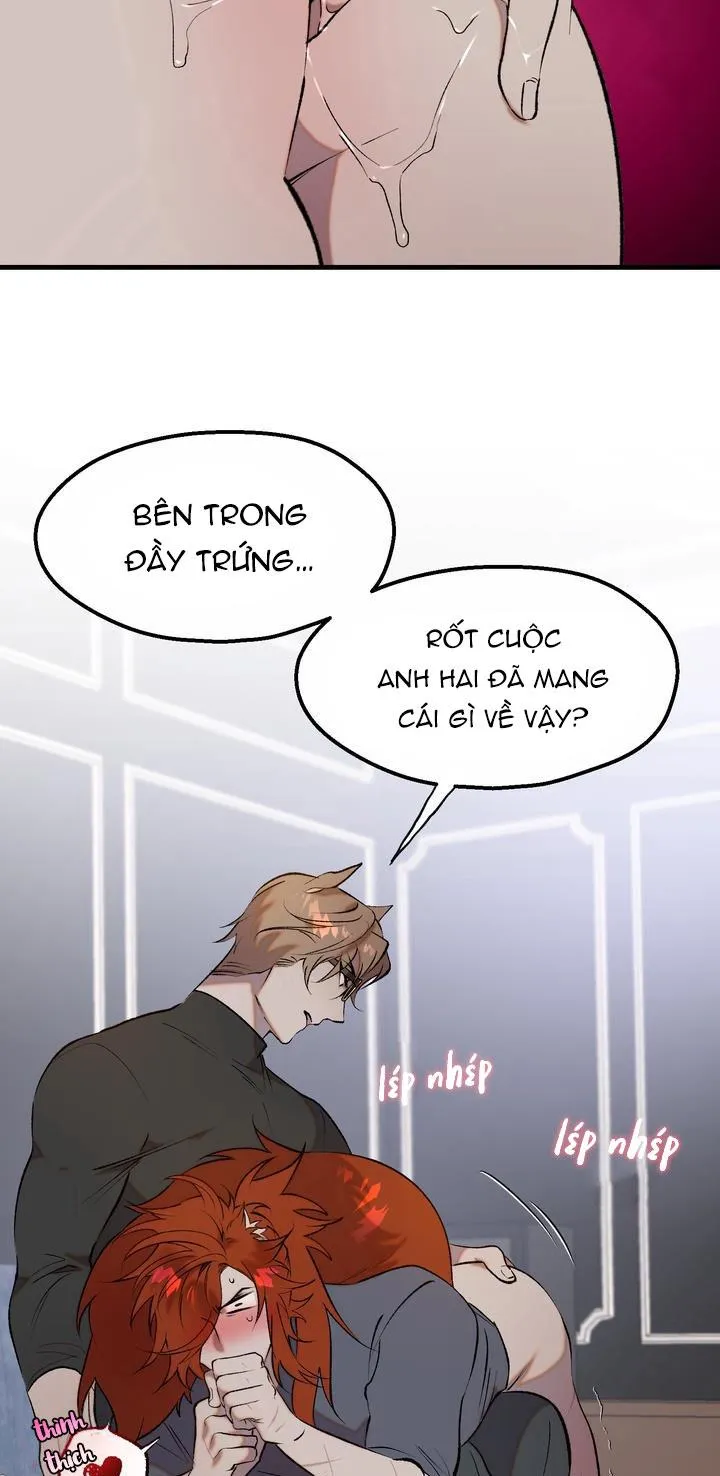 BA CHÚ HEO CON Chapter 11 Trang 3