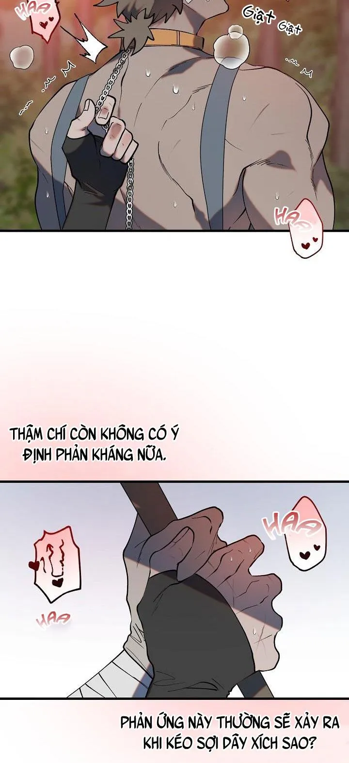 BA CHÚ HEO CON Chapter 3 Trang 26