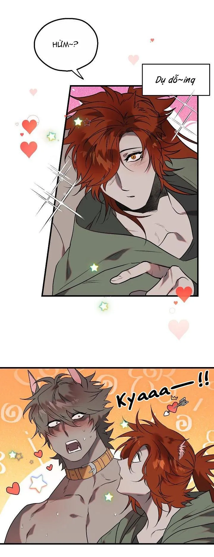 BA CHÚ HEO CON Chapter 5 Trang 9