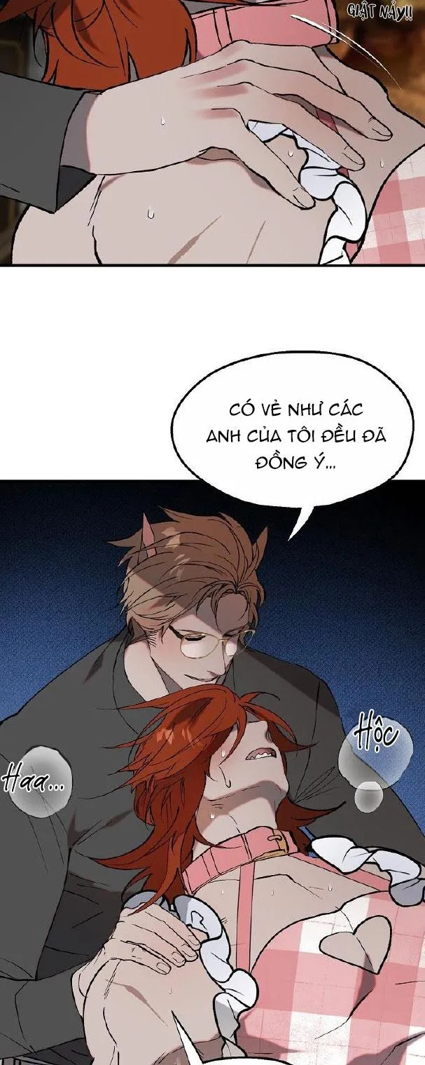 BA CHÚ HEO CON Chapter 7 Trang 23