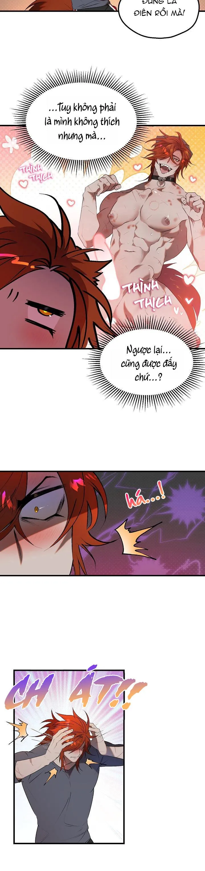 BA CHÚ HEO CON Chapter 9 Trang 16