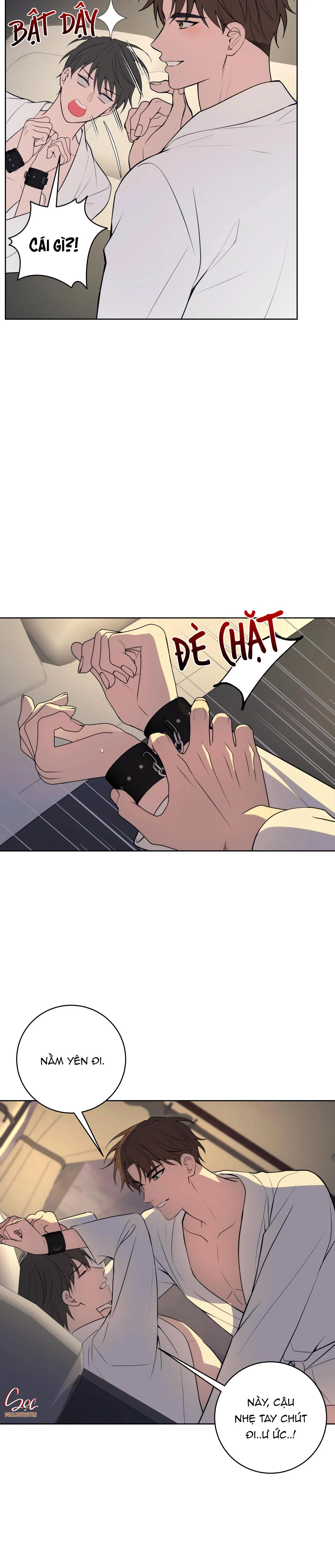 BA ĐÊM LÀM TÌNH THIỆT ĐẤY Chapter 19 Trang 4