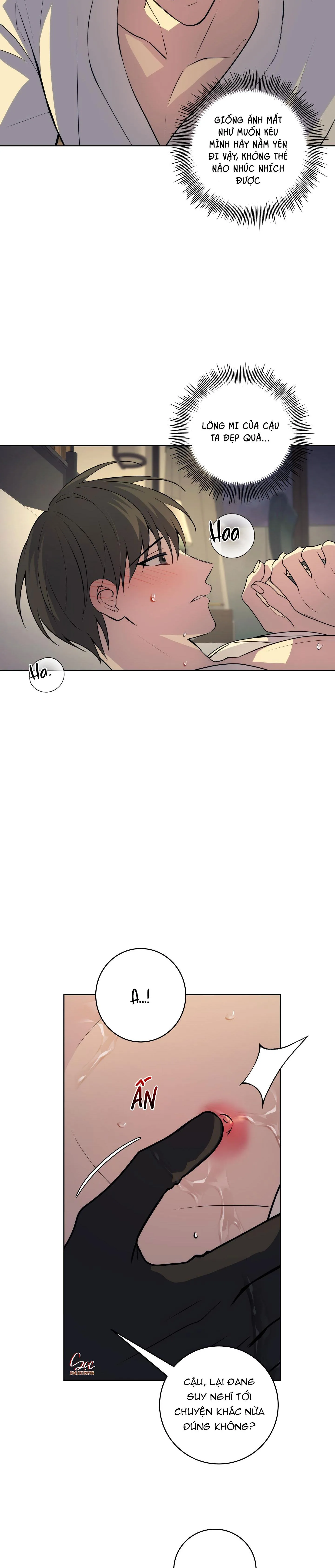 BA ĐÊM LÀM TÌNH THIỆT ĐẤY Chapter 19 Trang 8