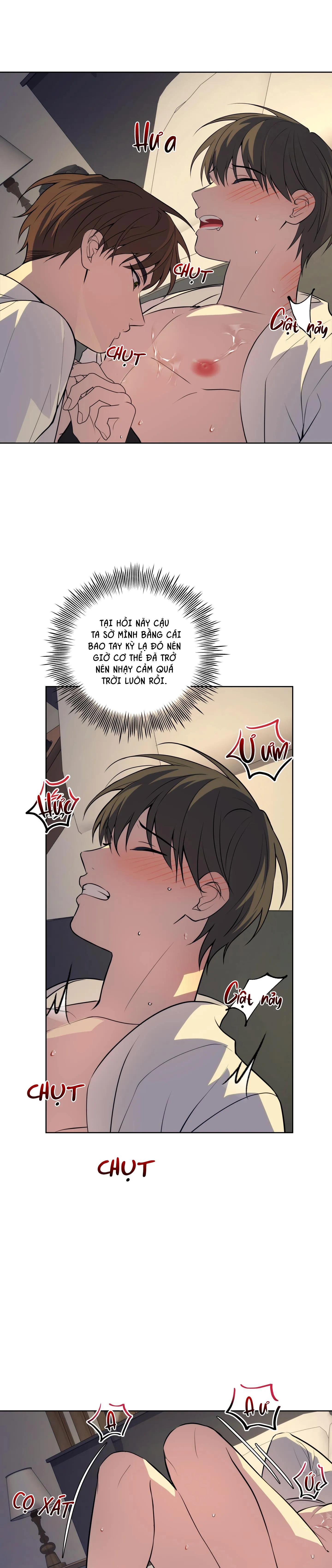 BA ĐÊM LÀM TÌNH THIỆT ĐẤY Chapter 19 Trang 17