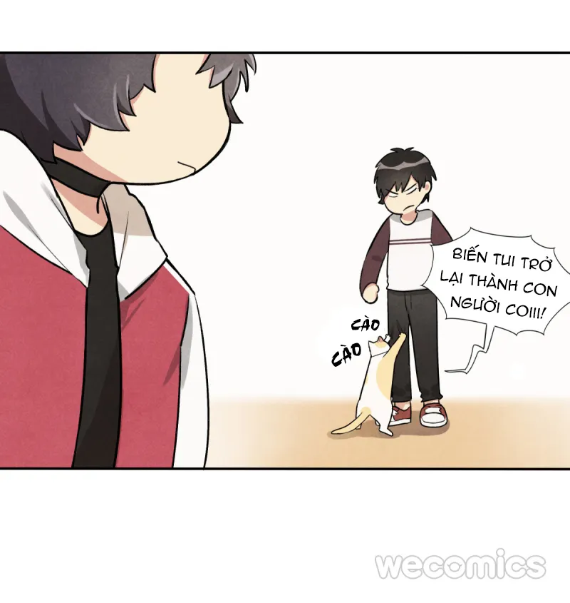 Ba tháng để sống Chapter 10 Trang 31