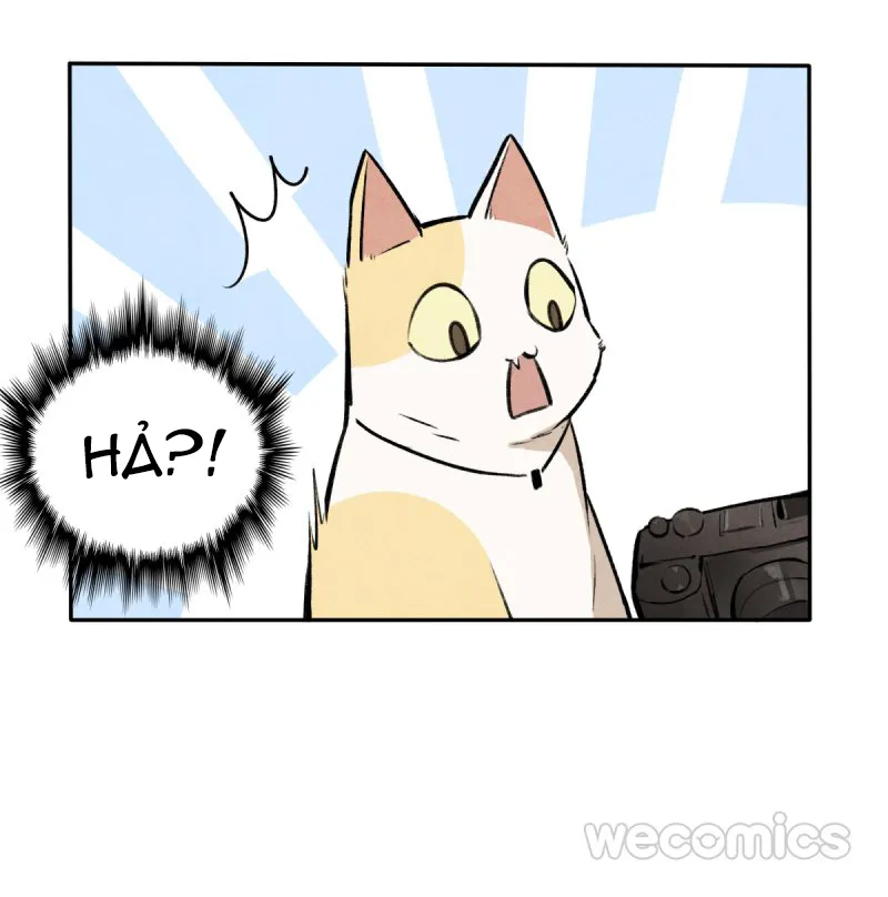 Ba tháng để sống Chapter 11 Trang 36