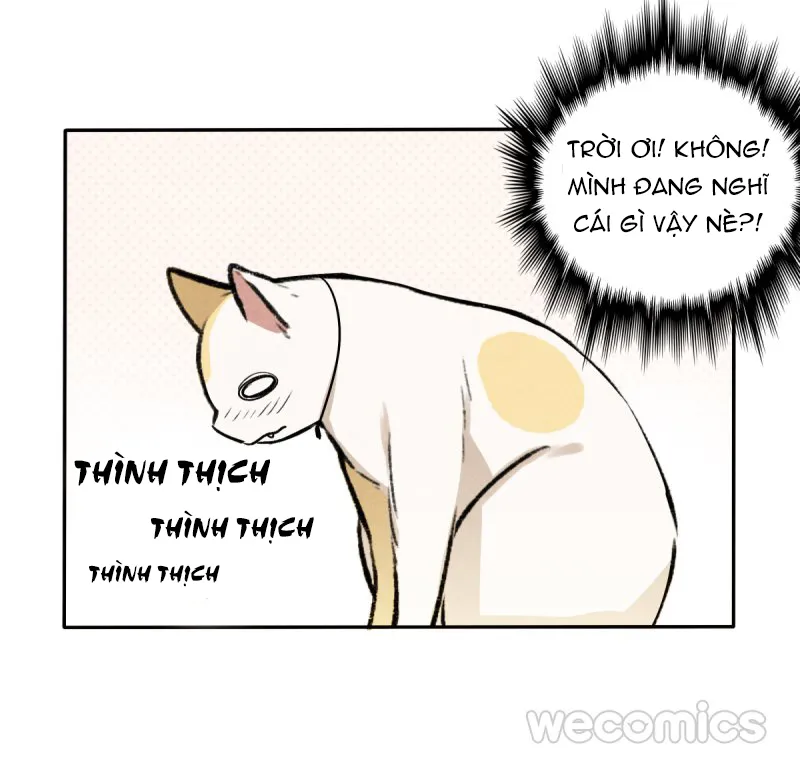 Ba tháng để sống Chapter 11 Trang 40