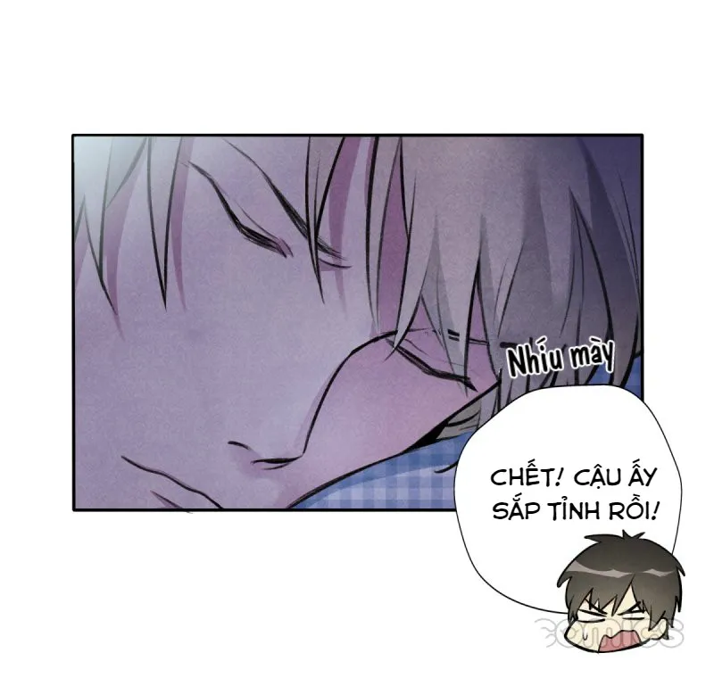 Ba tháng để sống Chapter 13 Trang 7