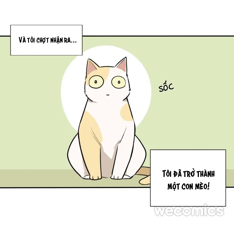 Ba tháng để sống Chapter 8 Trang 18