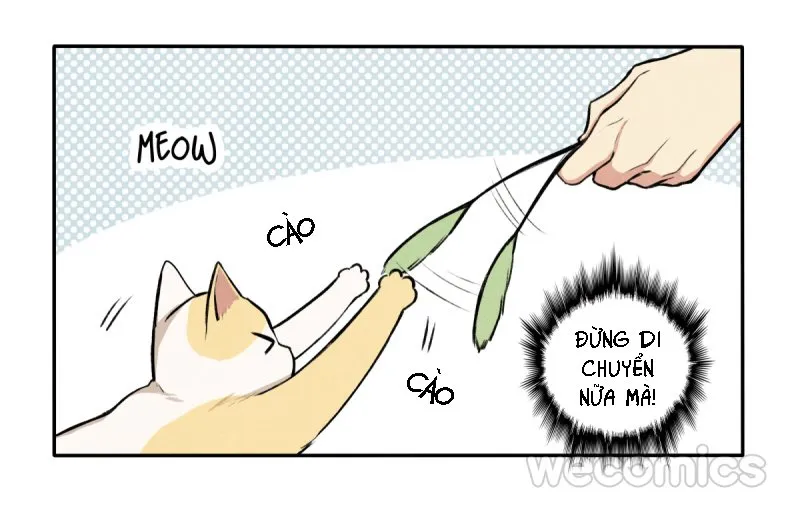 Ba tháng để sống Chapter 8 Trang 23