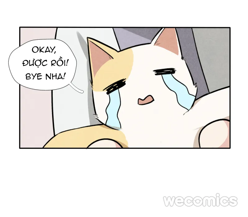 Ba tháng để sống Chapter 9 Trang 43