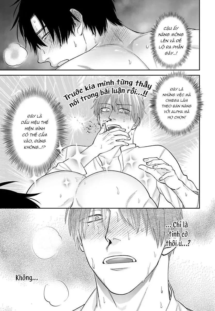 Alpha Điên Si Mê Vật Thí Nghiệm Chapter 5 Trang 25