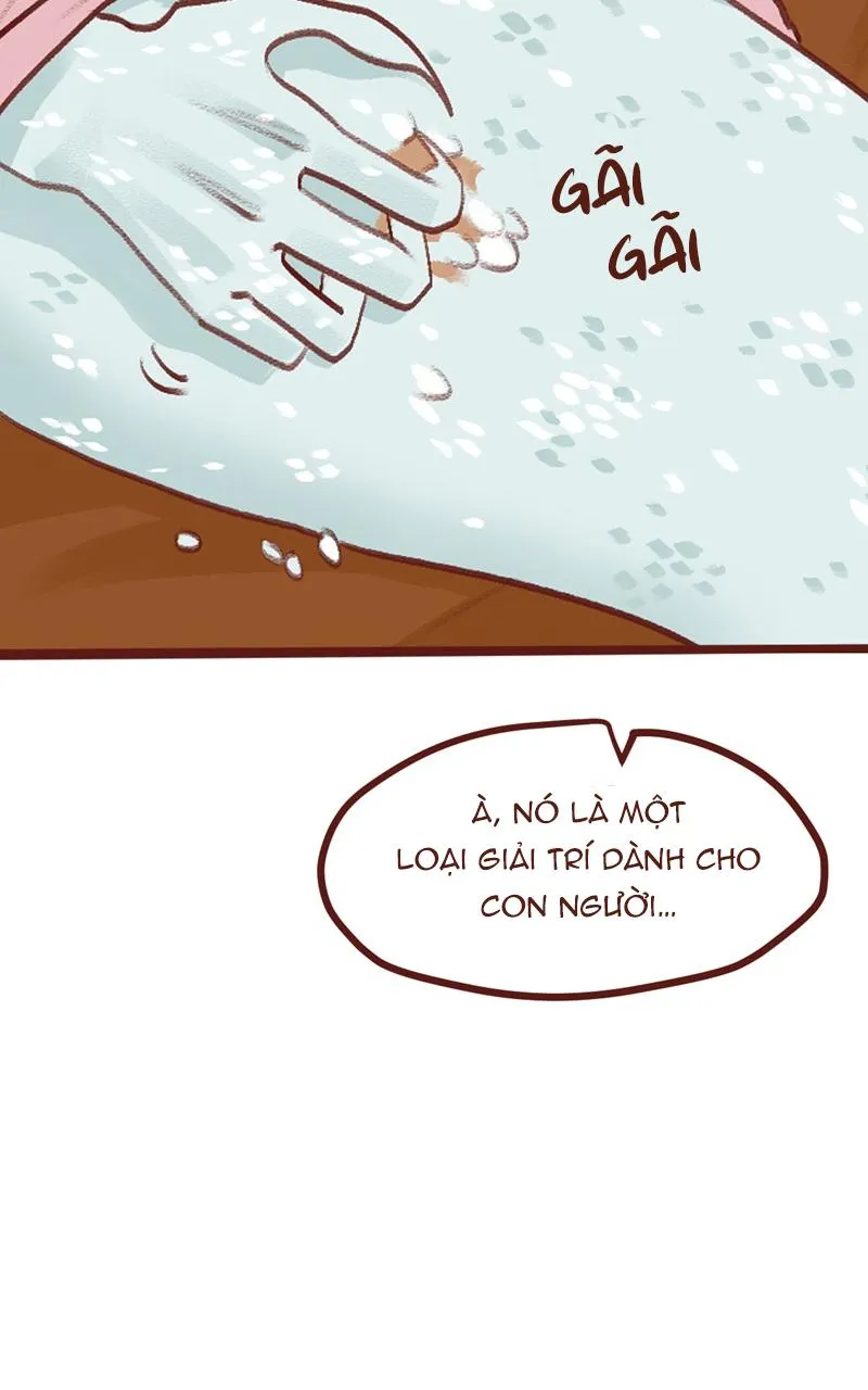 BAILIN AND LIYUN ( NEW SS ) Chapter 51 Trang 11